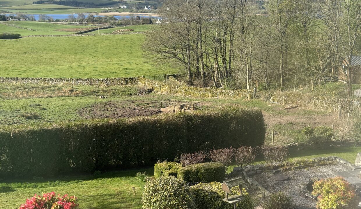 image1 3